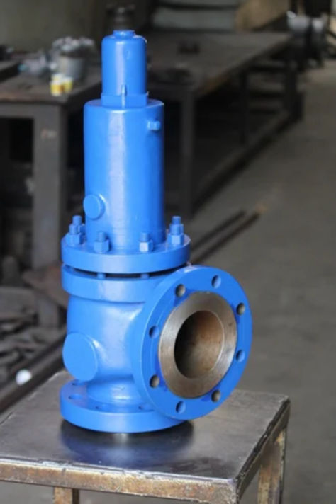 Safety-Relief-Valve-manufacturer-exporter-Gujarat