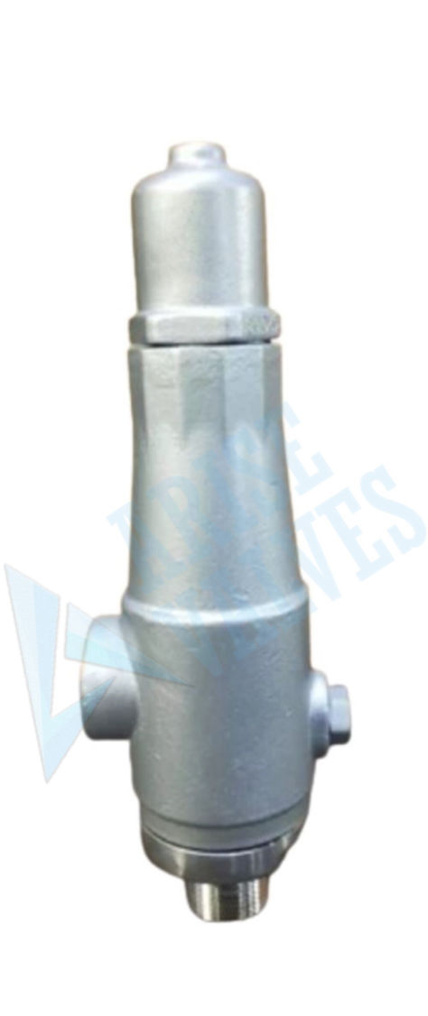 Thermal-Relief-Valve-manufacturer-exporter-Ahmedabad